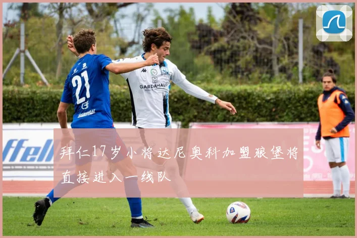 拜仁17岁小将达尼奥科加盟狼堡将直接进入一线队